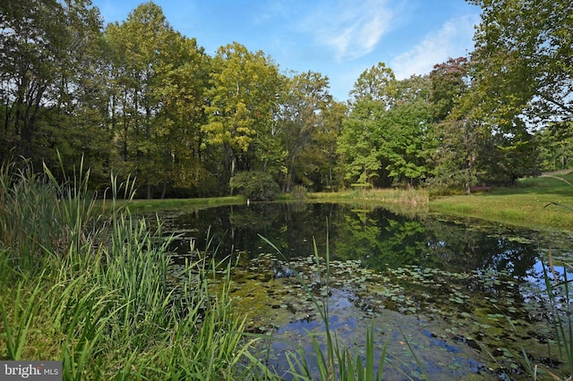 1402 Thurston Rd, Dickerson, MD 20842 - water view