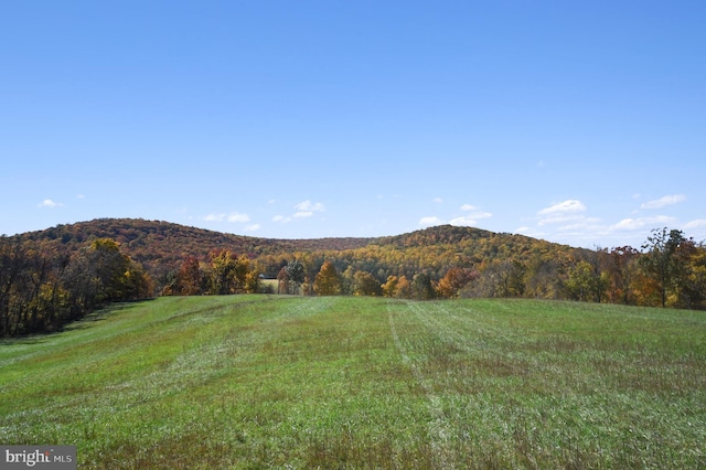 1402 Thurston Rd, Dickerson, MD 20842 - mountain view with a forest and rural landscape