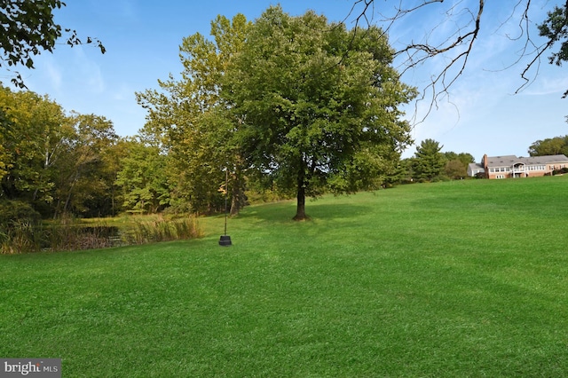 1402 Thurston Rd, Dickerson, MD 20842 - view of green lawn