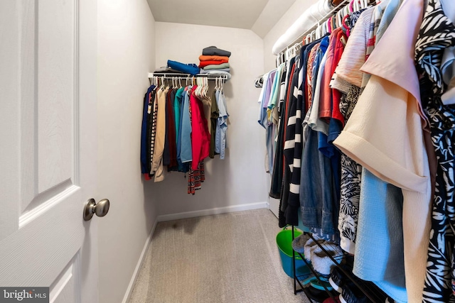 43 Ivy Ln, Gettysburg, PA 17325 - spacious closet featuring carpet floors