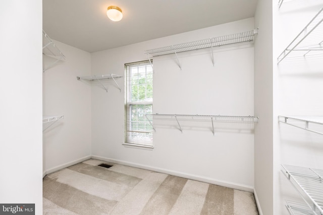 460 Preakness Run, Newark, DE 19702 - walk in closet featuring carpet flooring