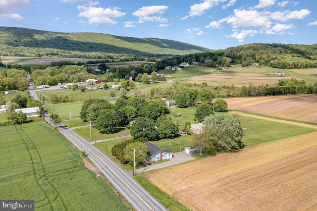 148 N Good Spring Rd, Hegins, PA 17938 - view of rural area with a mountain backdrop
