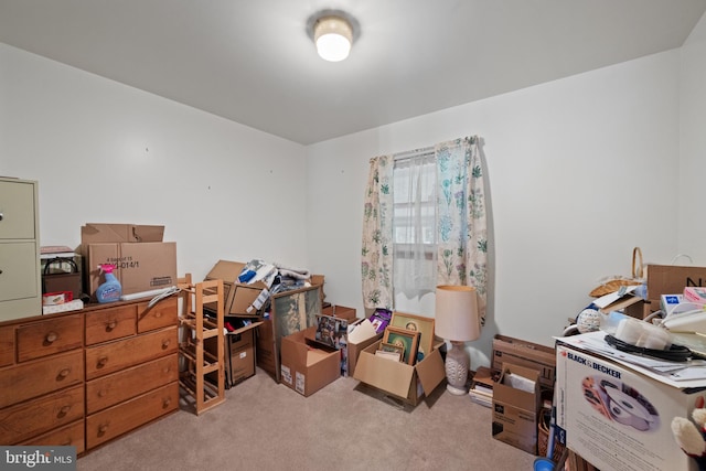 miscellaneous room with carpet floors and a desk