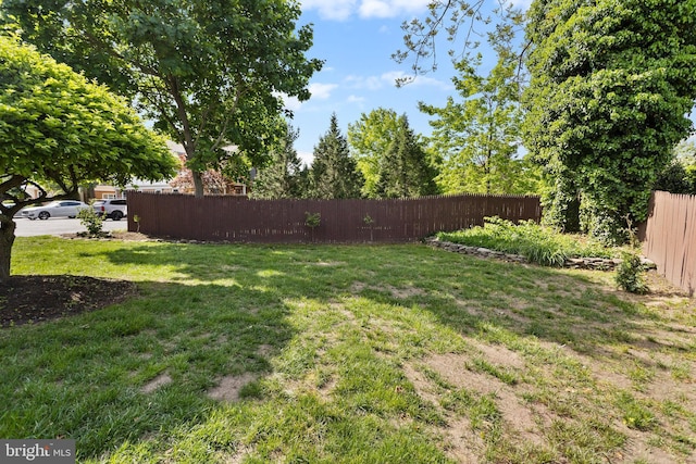 view of yard