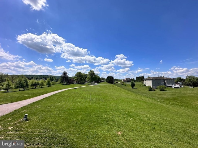 surrounding community featuring a yard