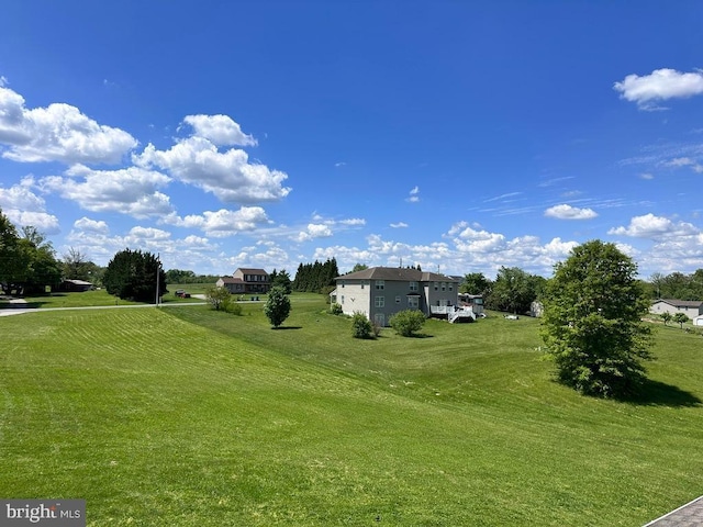 view of grassy yard