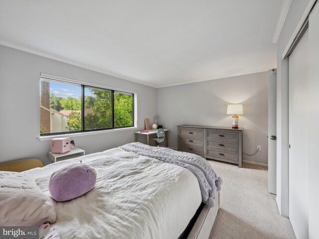 11041 Solaridge Dr, Reston, VA 20191 - carpeted bedroom with ornamental molding and baseboards