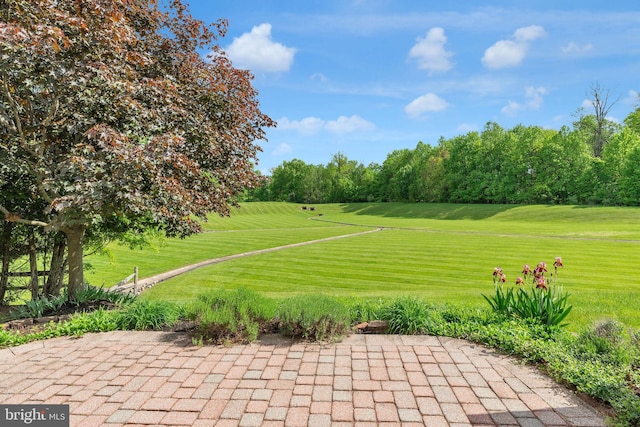 66 Cypress Pl, Newtown, PA 18940 - view of home's community with a patio