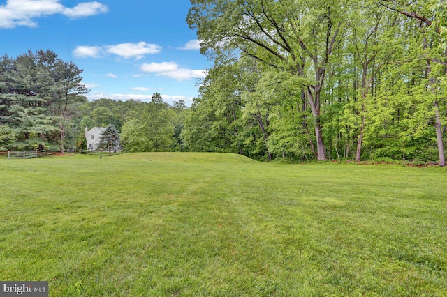 view of green lawn