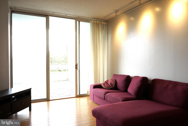 living room with a wall of windows, wood finished floors, and track lighting