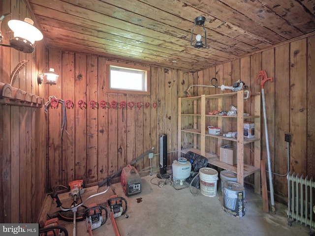 storage featuring radiator