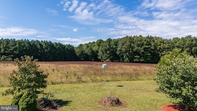 20852 Country Rd, Georgetown, DE 19947 - view of grassy yard