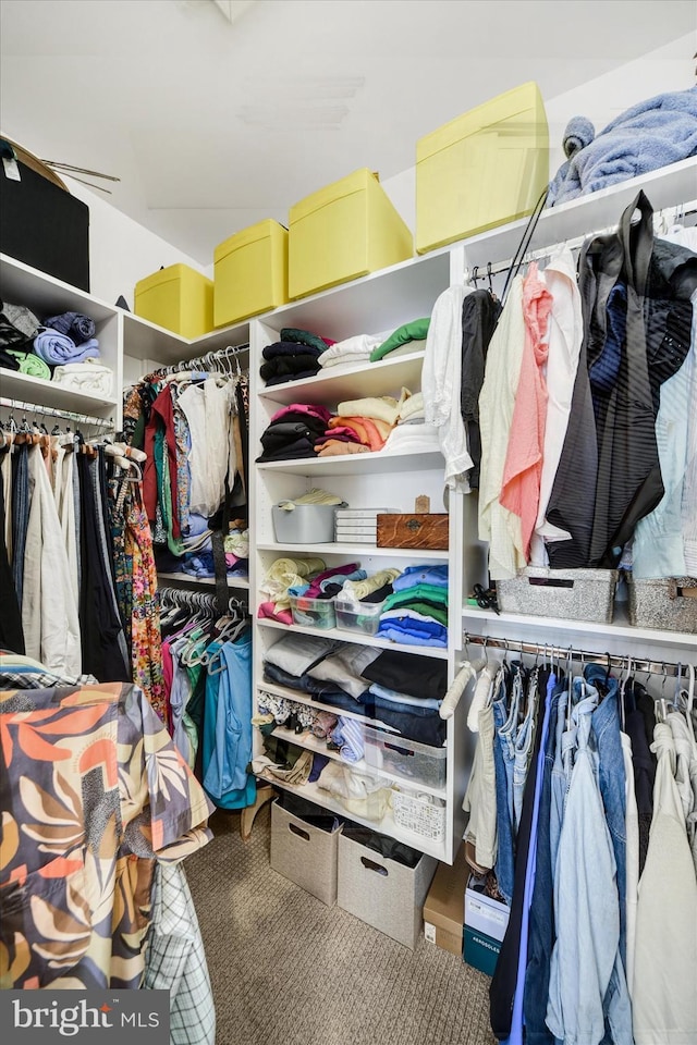 walk in closet with carpet