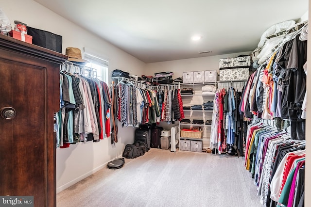 walk in closet featuring carpet flooring