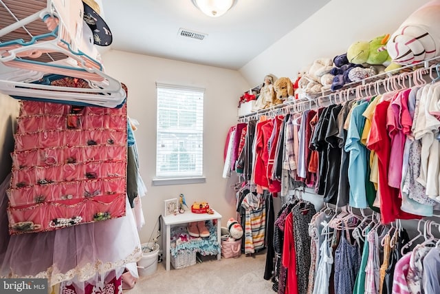 spacious closet with carpet