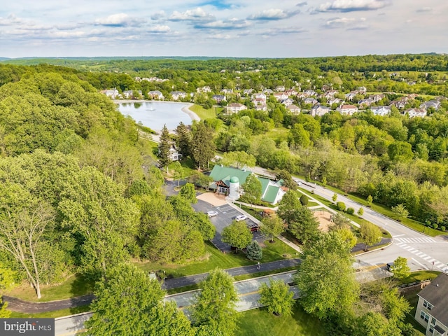aerial view of a forest and a nearby body of water
