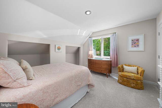 18 Beethoven Dr, Wilmington, DE 19807 - bedroom with light carpet, vaulted ceiling, and baseboards