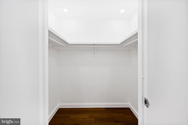 spacious closet with wood finished floors