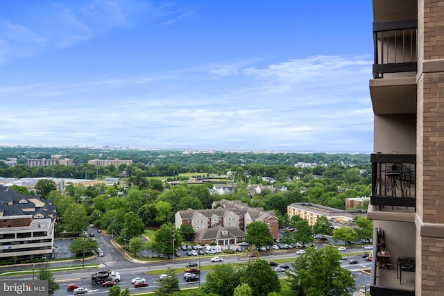 aerial view of a tree filled landscape