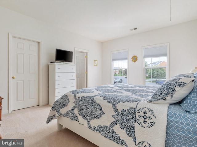 1517 Brookdale Ct, Winchester, VA 22601 - view of carpeted bedroom