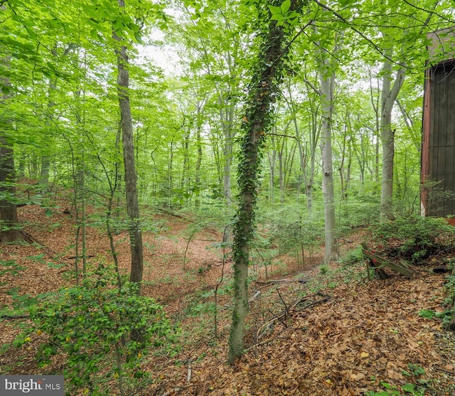 524 Ridge Rd, Annapolis, MD 21401 - view of woods