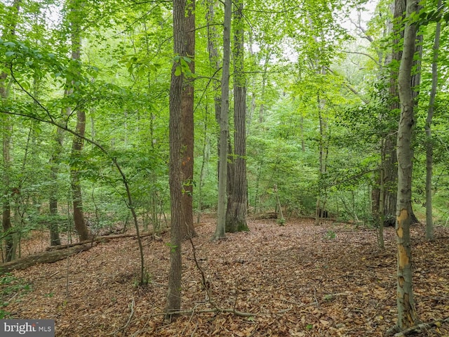 524 Ridge Rd, Annapolis, MD 21401 - view of tree filled area