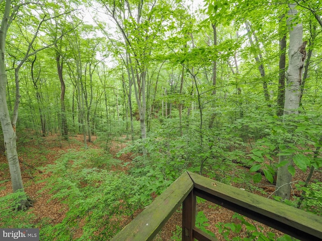 524 Ridge Rd, Annapolis, MD 21401 - view of yard with a view of trees