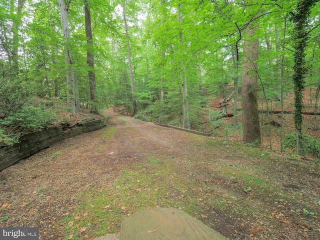 524 Ridge Rd, Annapolis, MD 21401 - view of yard featuring a forest view