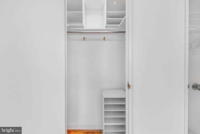 view of closet