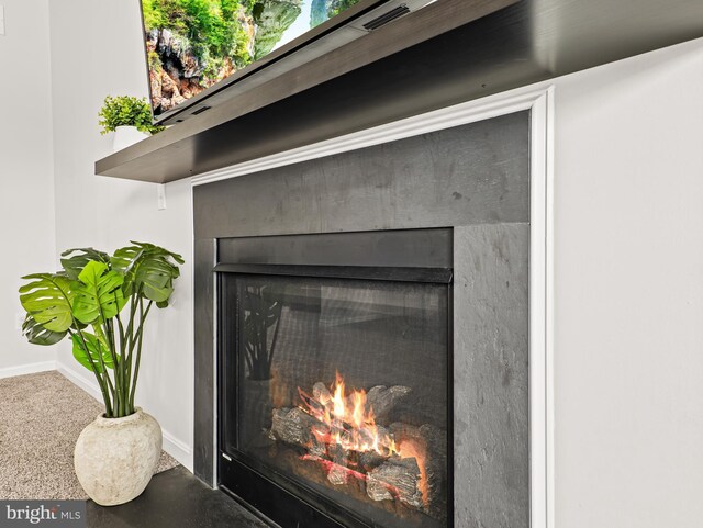 166 Spring Dale Ln, Felton, DE 19943 - detailed view of a warm lit fireplace and baseboards