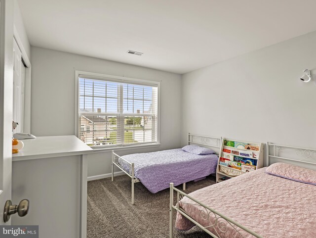 166 Spring Dale Ln, Felton, DE 19943 - bedroom featuring carpet flooring and a closet