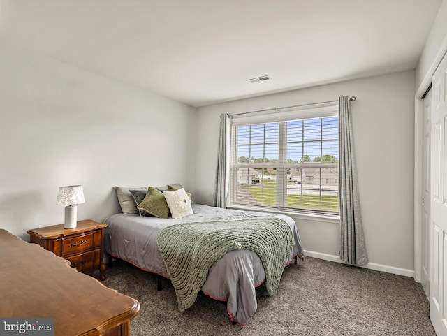 166 Spring Dale Ln, Felton, DE 19943 - carpeted bedroom with a closet and baseboards