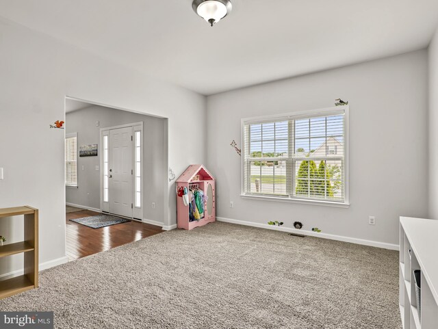 166 Spring Dale Ln, Felton, DE 19943 - rec room with baseboards and carpet flooring