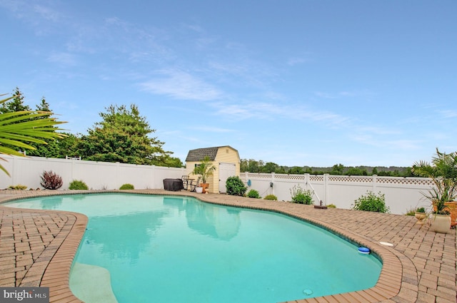 455 Creeks End Ln, Stevensville, MD 21666 - view of pool with a shed, a fenced backyard, an outdoor structure, and a patio