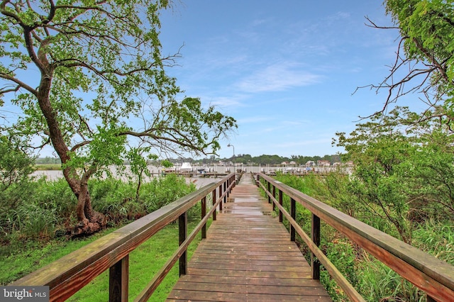 455 Creeks End Ln, Stevensville, MD 21666 - view of community