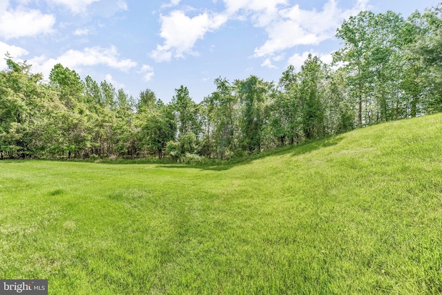 view of green lawn