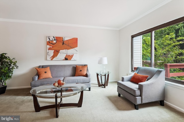 10903 Pebble Run Dr, Silver Spring, MD 20902 - living room with crown molding, carpet, and baseboards