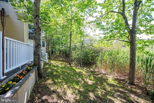119 Mumfords Landing Rd, Ocean Pines, MD 21811 - view of yard