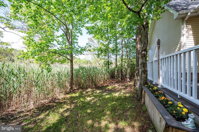 119 Mumfords Landing Rd, Ocean Pines, MD 21811 - view of yard