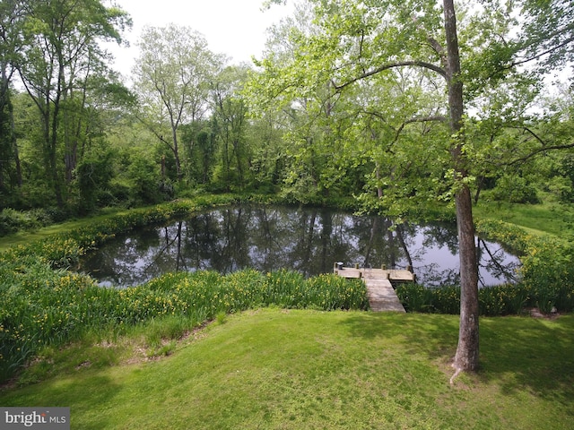 1912 Corbridge Ln, Monkton, MD 21111 - water view featuring a boat dock