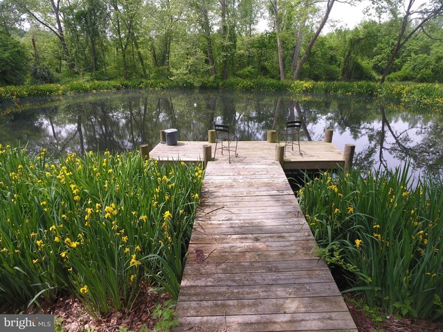 1912 Corbridge Ln, Monkton, MD 21111 - dock with a water view
