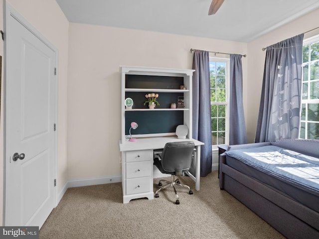 1422 Silver Oak Ln, Arnold, MD 21012 - bedroom featuring light colored carpet, multiple windows, and baseboards