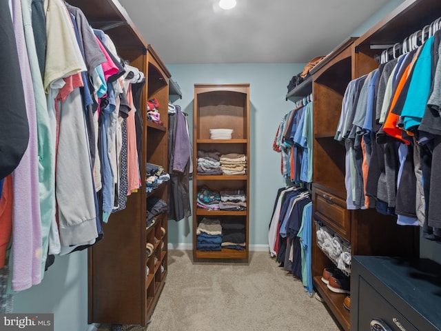1422 Silver Oak Ln, Arnold, MD 21012 - spacious closet with light colored carpet