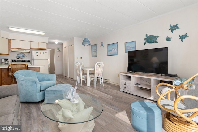 8 35th St Unit 401, Ocean City, MD 21842 - living room featuring light wood-style flooring