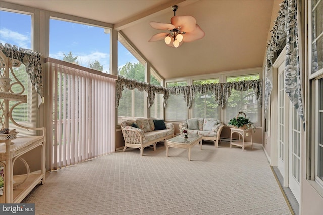 sunroom / solarium featuring carpet
