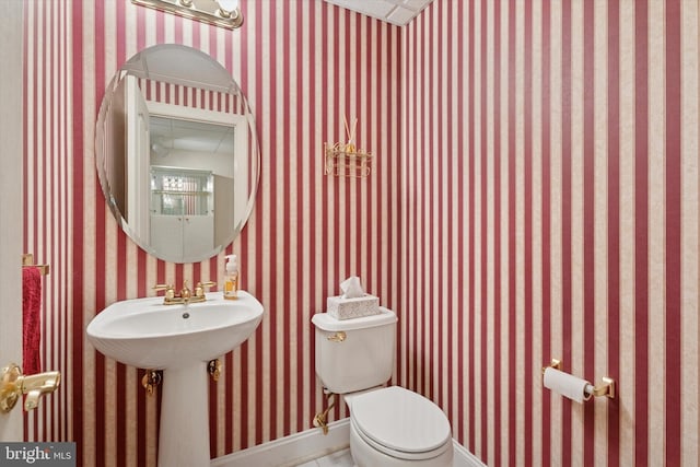 bathroom featuring toilet