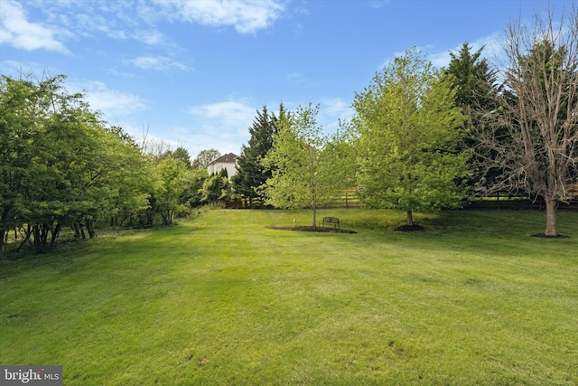 view of green lawn