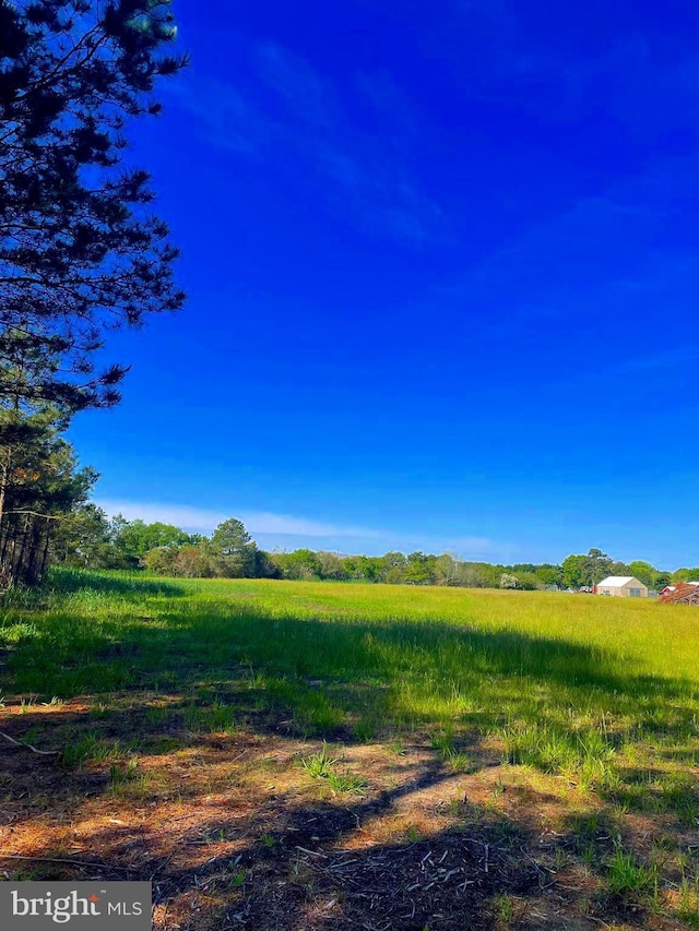 TBD Dirickson Creek Rd, Frankford, DE 19945
