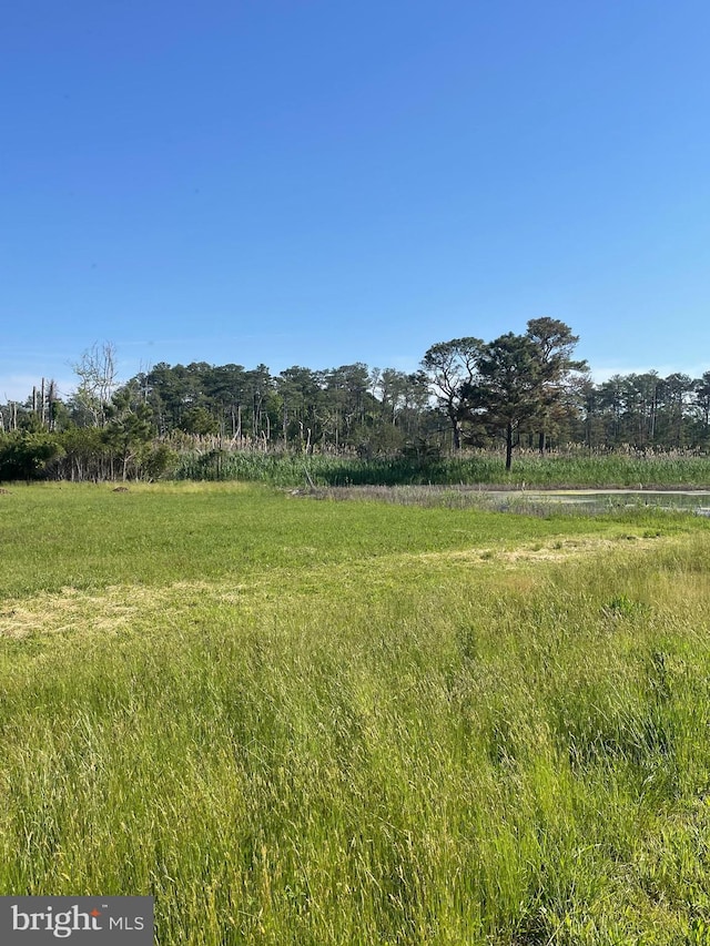 TBD Dirickson Creek Rd, Frankford, DE 19945