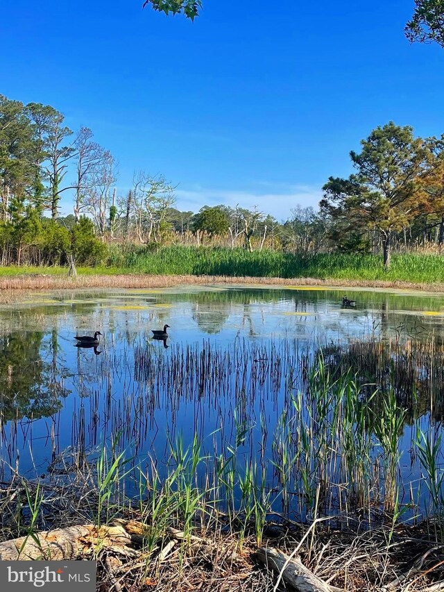 TBD Dirickson Creek Rd, Frankford, DE 19945